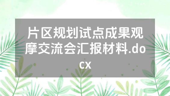 片区规划试点成果观摩交流会汇报材料.docx