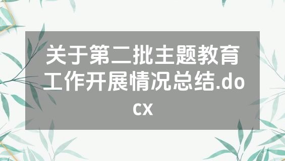关于第二批主题教育工作开展情况总结.docx