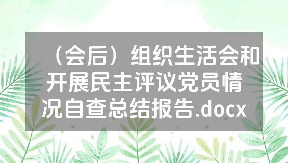 （会后）组织生活会和开展民主评议党员情况自查总结报告.docx