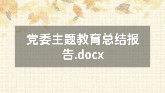党委主题教育总结报告.docx