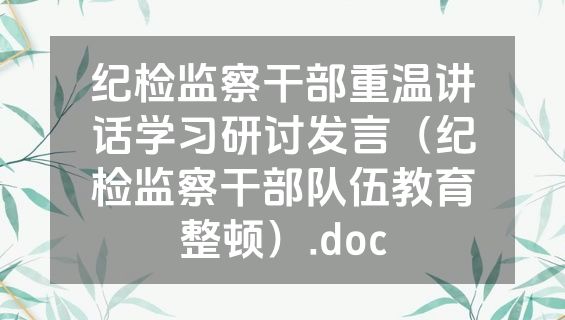 纪检监察干部重温讲话学习研讨发言（纪检监察干部队伍教育整顿）.doc