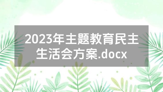 2023年主题教育民主生活会方案.docx