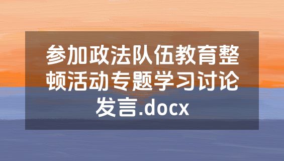 参加政法队伍教育整顿活动专题学习讨论发言.docx