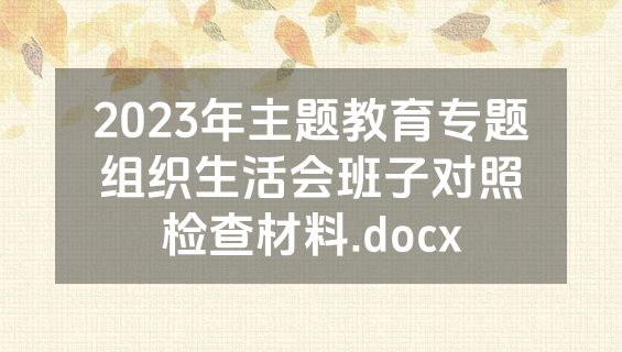 2023年主题教育专题组织生活会班子对照检查材料.docx