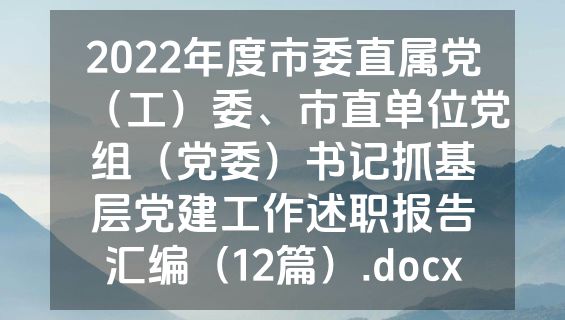 2022年度市委直属党（工）委、市直单位党组（党委）书记抓基层党建工作述职报告汇编（12篇）.docx