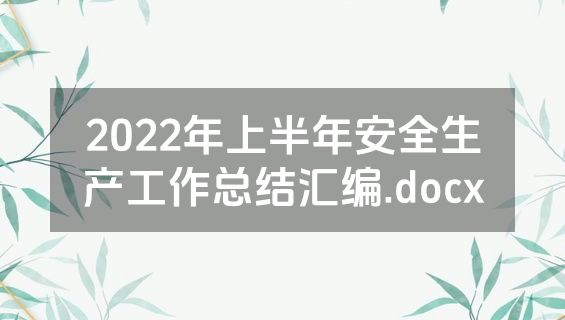 2022年上半年安全生产工作总结汇编.docx
