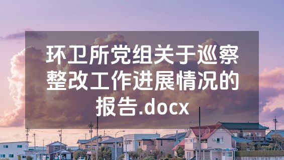环卫所党组关于巡察整改工作进展情况的报告.docx