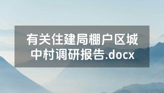 有关住建局棚户区城中村调研报告.docx