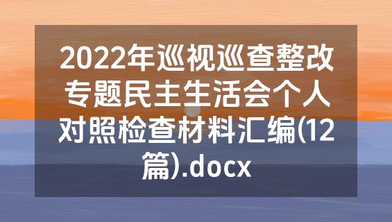 2022年巡视巡查整改专题民主生活会个人对照检查材料汇编(12篇).docx