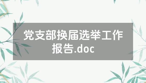 党支部换届选举工作报告.doc