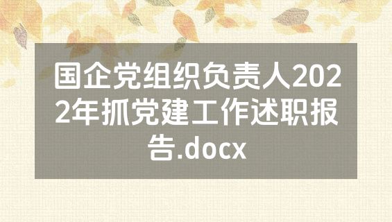 国企党组织负责人2022年抓党建工作述职报告.docx