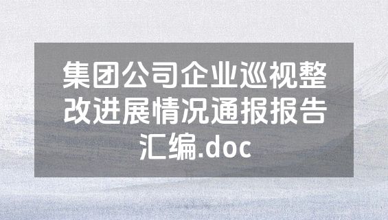 集团公司企业巡视整改进展情况通报报告汇编.doc
