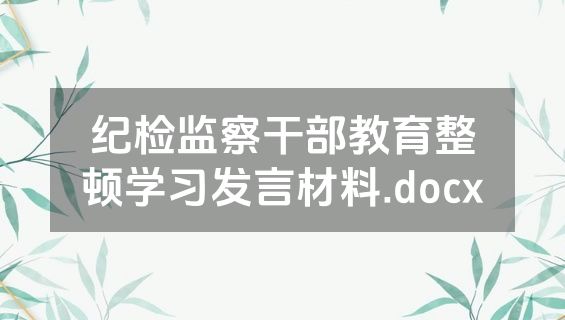 纪检监察干部教育整顿学习发言材料.docx
