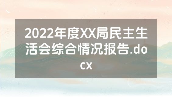 2022年度XX局民主生活会综合情况报告.docx