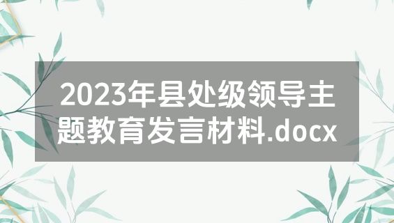 2023年县处级领导主题教育发言材料.docx