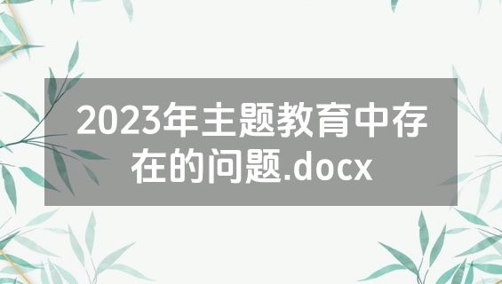 2023年主题教育中存在的问题.docx