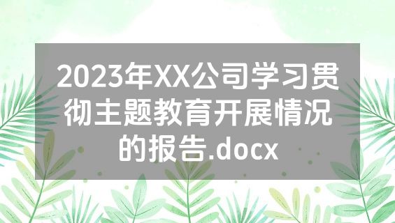 2023年XX公司学习贯彻主题教育开展情况的报告.docx