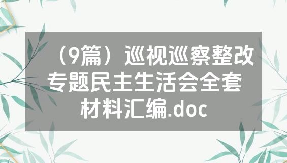 （9篇）巡视巡察整改专题民主生活会全套材料汇编.doc