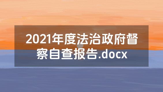 2021年度法治政府督察自查报告.docx