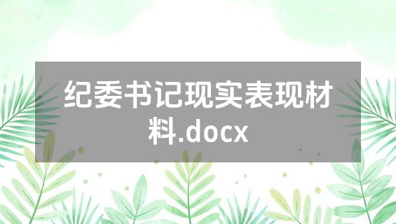 纪委书记现实表现材料.docx