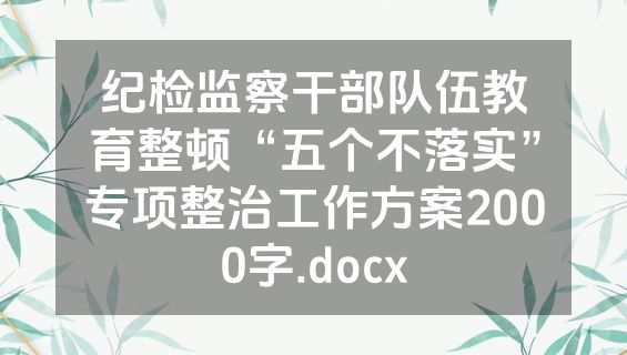 纪检监察干部队伍教育整顿“五个不落实”专项整治工作方案2000字.docx
