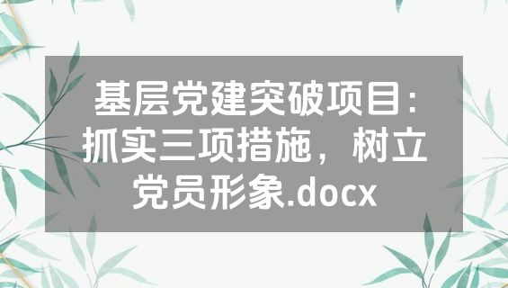 基层党建突破项目：抓实三项措施，树立党员形象.docx