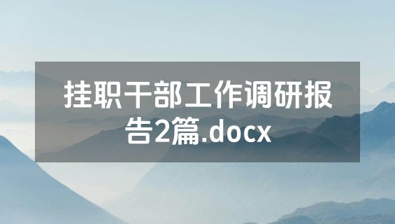 挂职干部工作调研报告2篇.docx