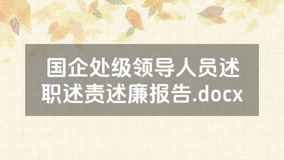 国企处级领导人员述职述责述廉报告.docx