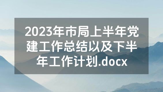 2023年市局上半年党建工作总结以及下半年工作计划.docx