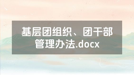 基层团组织、团干部管理办法.docx