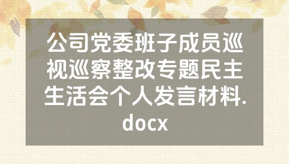 公司党委班子成员巡视巡察整改专题民主生活会个人发言材料.docx