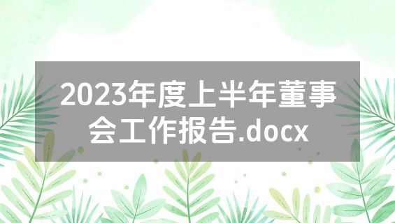 2023年度上半年董事会工作报告.docx