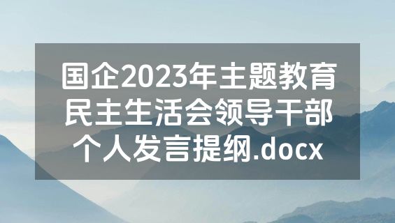 国企2023年主题教育民主生活会领导干部个人发言提纲.docx
