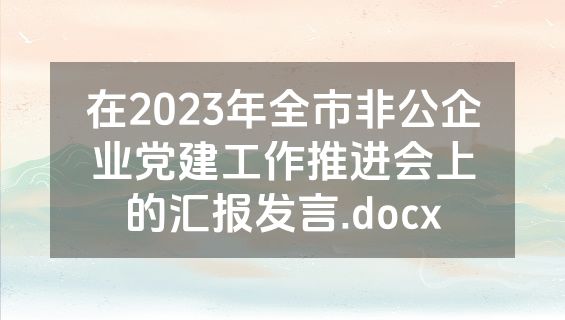 在2023年全市非公企业党建工作推进会上的汇报发言.docx