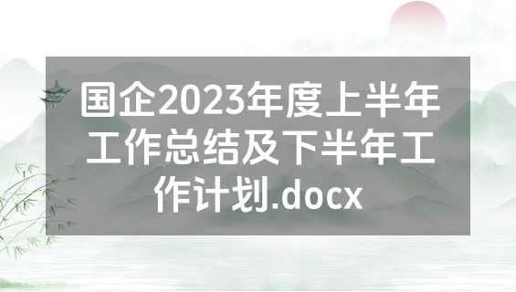 国企2023年度上半年工作总结及下半年工作计划.docx