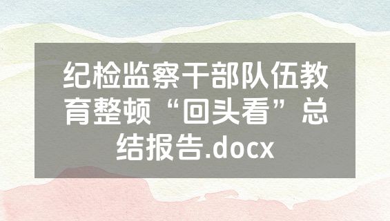 纪检监察干部队伍教育整顿“回头看”总结报告.docx