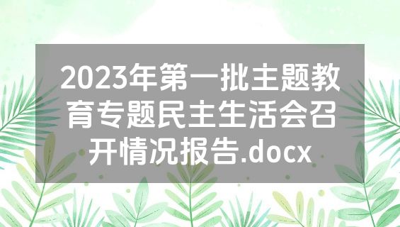 2023年第一批主题教育专题民主生活会召开情况报告.docx