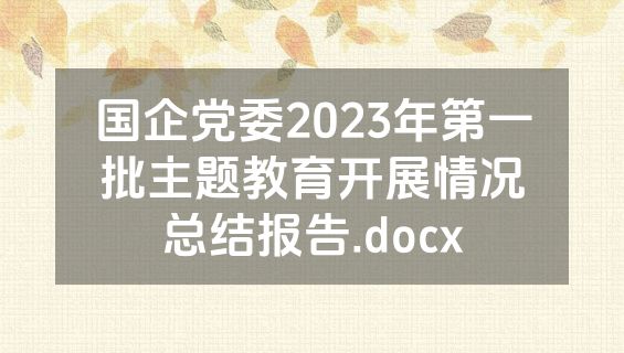 国企党委2023年第一批主题教育开展情况总结报告.docx