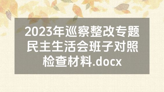 2023年巡察整改专题民主生活会班子对照检查材料.docx