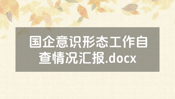 国企意识形态工作自查情况汇报.docx