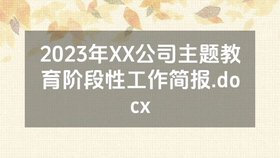2023年XX公司主题教育阶段性工作简报.docx