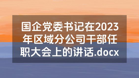 国企党委书记在2023年区域分公司干部任职大会上的讲话.docx