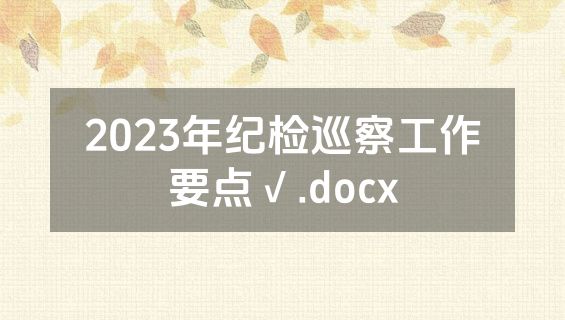 2023年纪检巡察工作要点√.docx