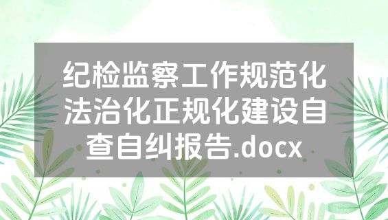 纪检监察工作规范化法治化正规化建设自查自纠报告.docx