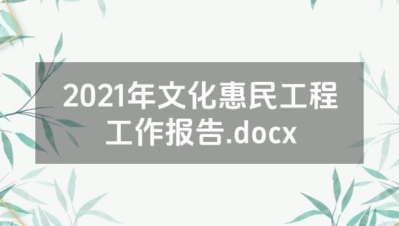 2021年文化惠民工程工作报告.docx