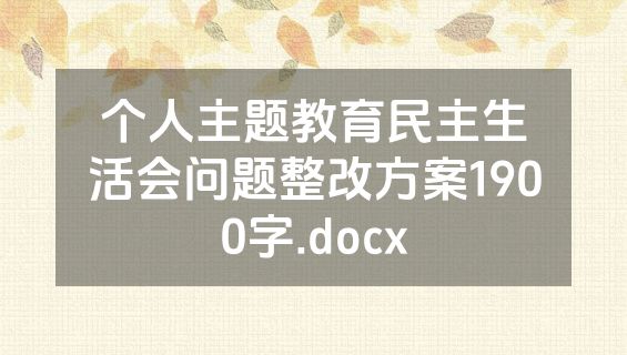 个人主题教育民主生活会问题整改方案1900字.docx