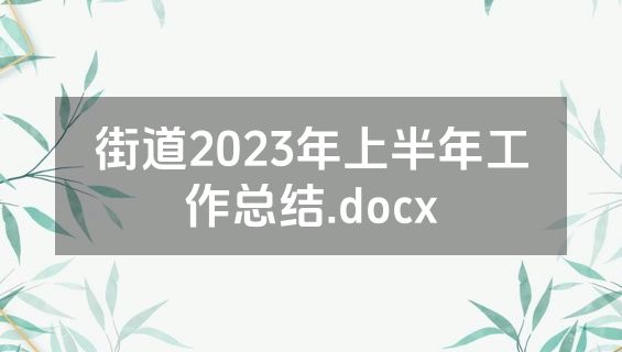 街道2023年上半年工作总结.docx