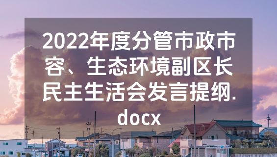 2022年度分管市政市容、生态环境副区长民主生活会发言提纲.docx