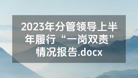 2023年分管领导上半年履行“一岗双责”情况报告.docx