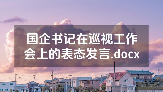 国企书记在巡视工作会上的表态发言.docx